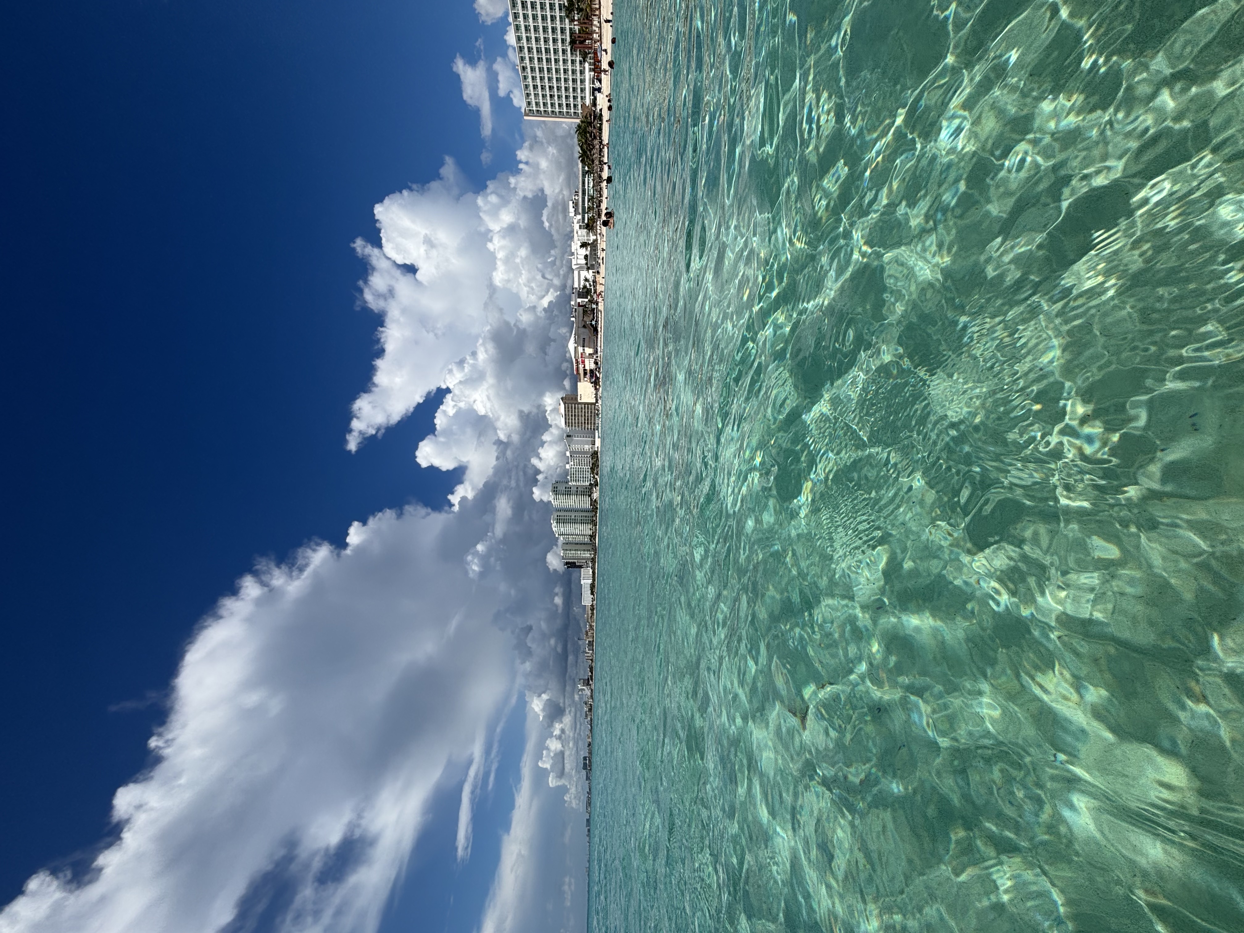 people on beach during daytime