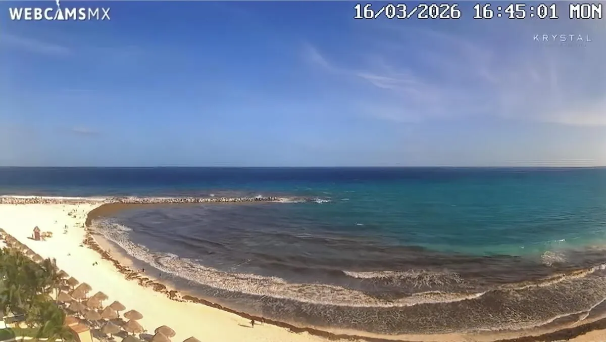 Sargassum visible along Cancún Hotel Zone shoreline — live webcam, March 16 2026