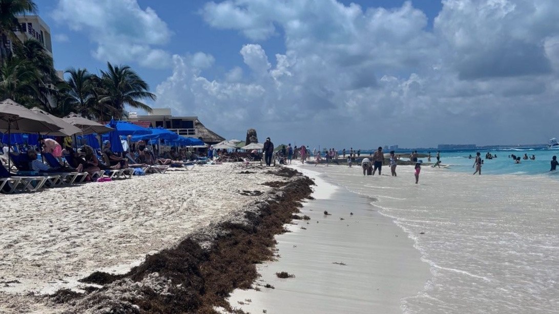 Isla Mujeres beach — March 30, 2026 — light sargassum line along the shore with clear turquoise water