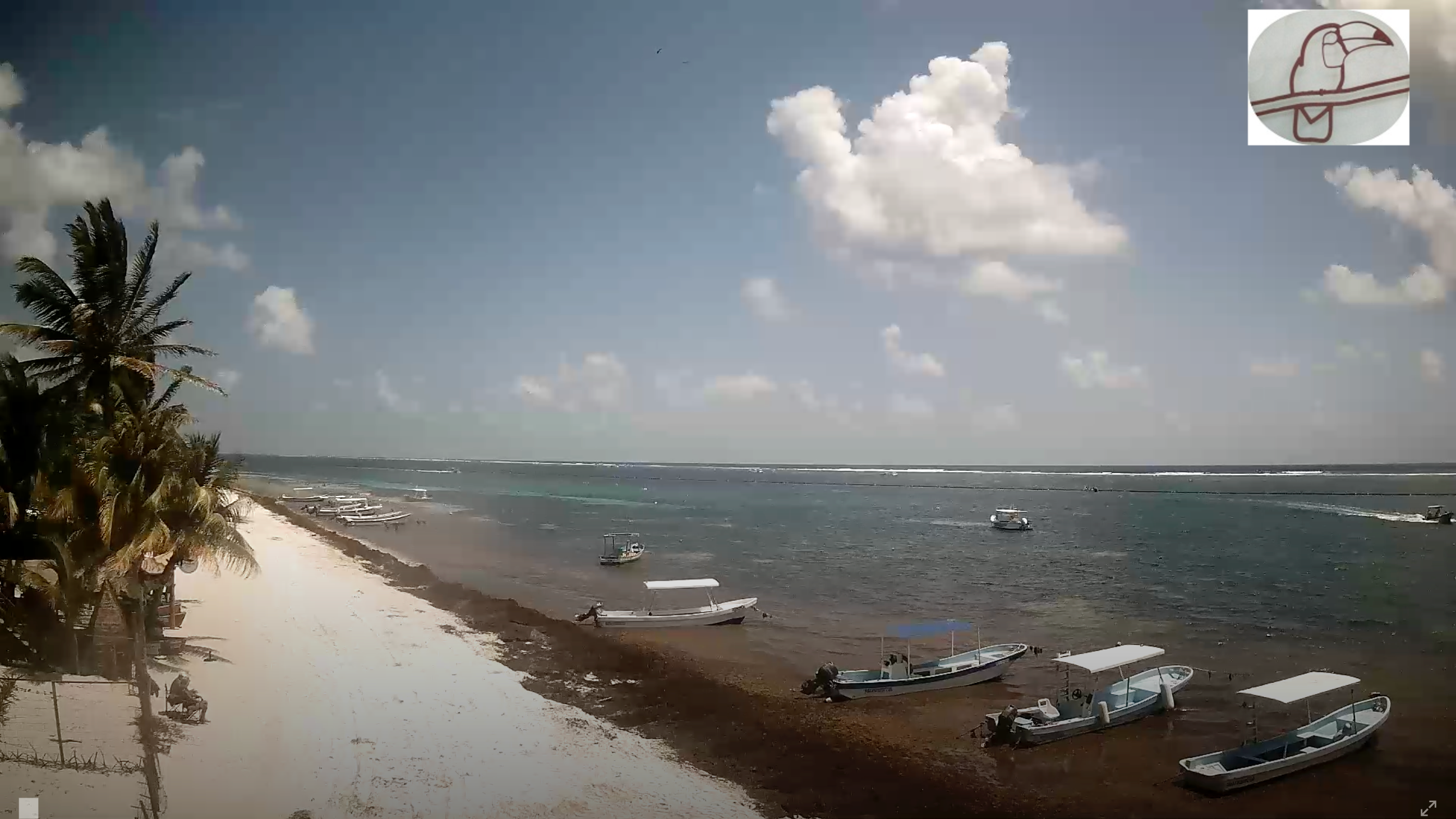 Puerto Morelos beach — live webcam March 30, 2026 — sargassum patches along shoreline with fishing boats