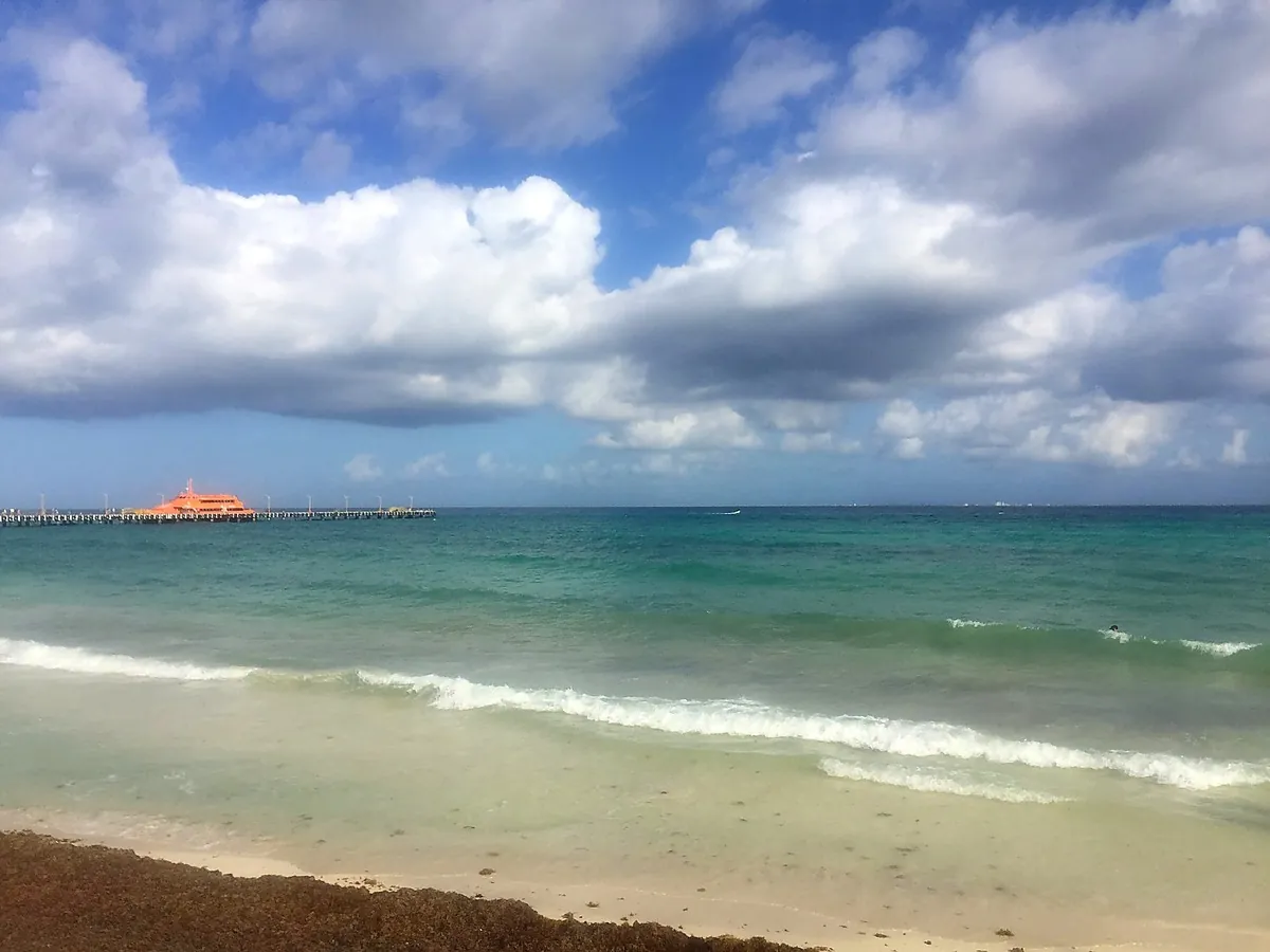 Cancún beach April 2 2026 — light sargassum line on sand, turquoise water, ferry pier in background