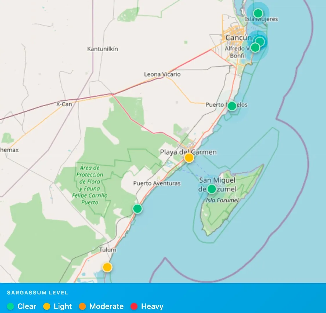 Sargassum conditions map — Cancún, Cozumel, Playa del Carmen, Tulum, Akumal & Isla Mujeres — March 23, 2026
