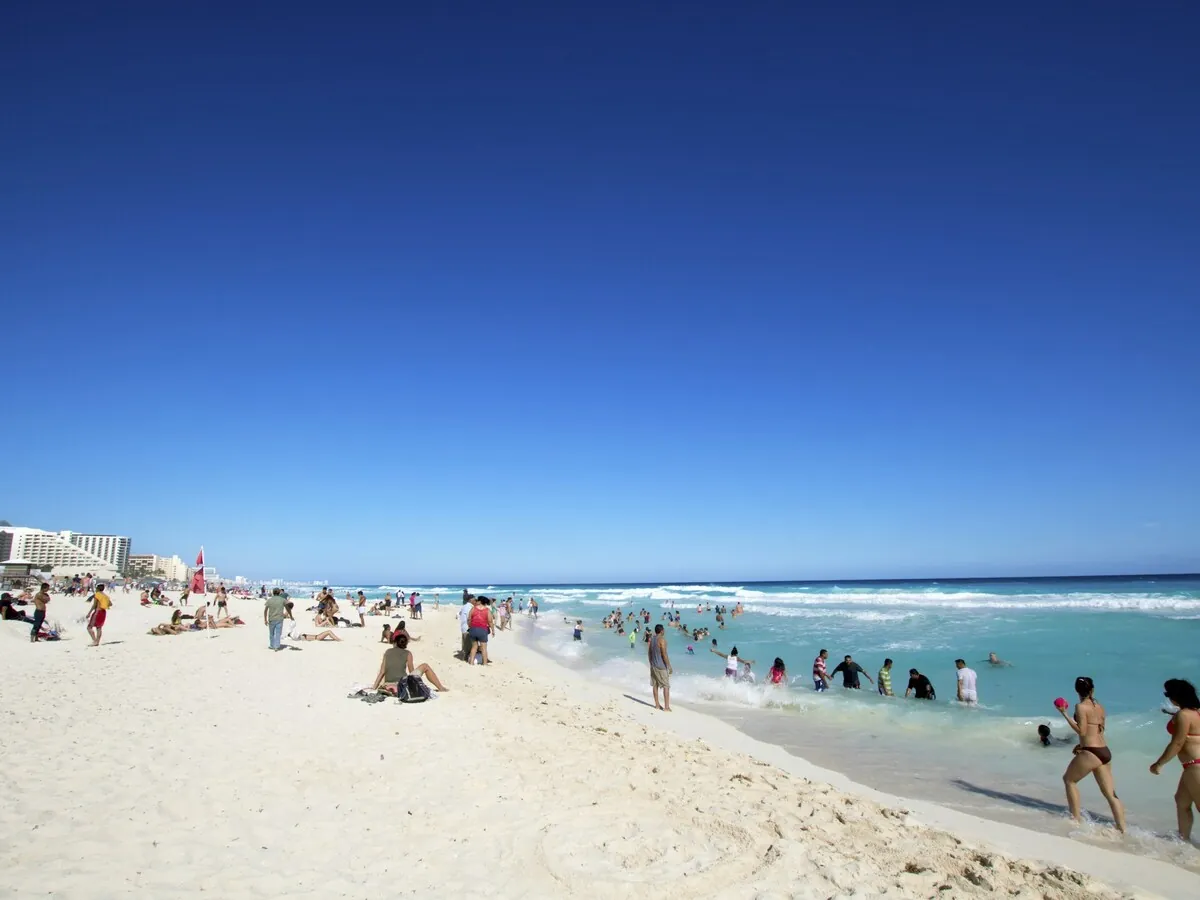 Sargassum seaweed arriving on a Riviera Maya beach during peak season