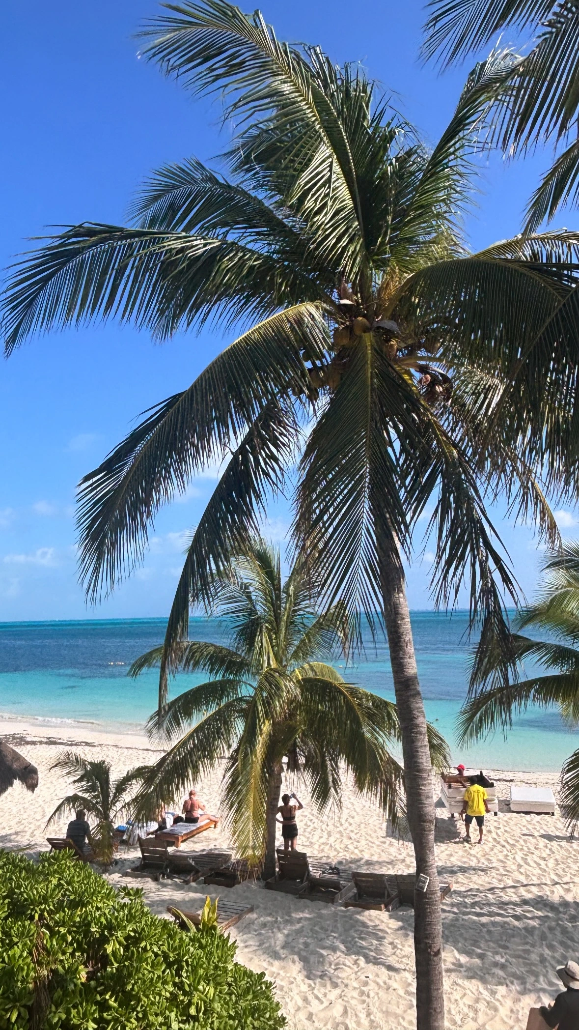 A beach with a lot of colorful signs on it