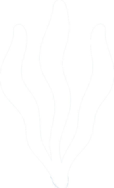 How Is The Sargassum Logo